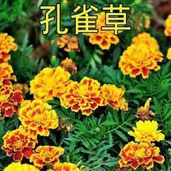 激励团队人心的句子汇总79句