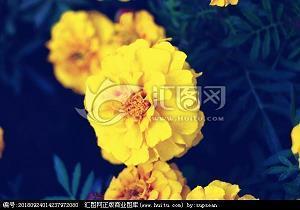 杂乱无章的意思 杂乱无章的反义词 杂乱无章造句大全 杂乱无章
