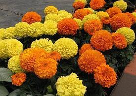 男友对我非常失望的句子