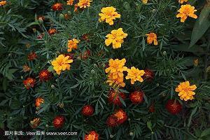 对友情亲情失望的句子说说心情