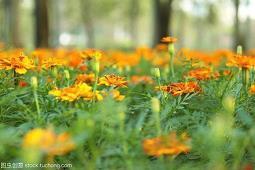 再见2020朋友圈说说文案最新