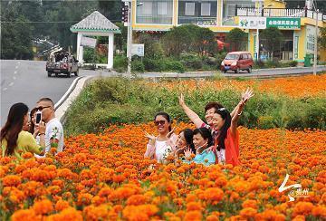 2021最火的心灵鸡汤句子汇编34句