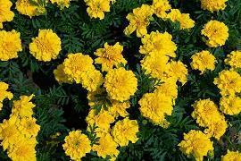 关于团队合作的励志短语(精选27句)