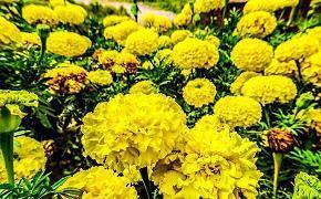 看淡一切释然的短句8字 看淡一切释然的说说推荐65句