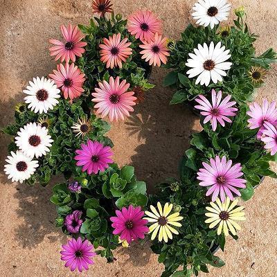 适合博物馆的句子 国际博物馆日文案说说推荐40句