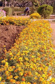 自己结婚开心的句子说说心情短语