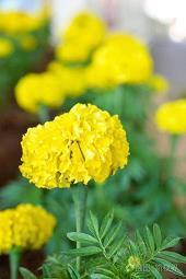 表达女孩自信的句子 自信阳光的心情句子