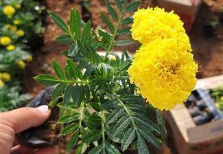 高冷孤独的句子 伤感说说短句高冷(精选59句)