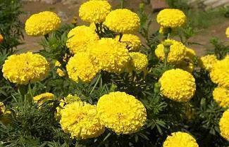 2021关于雨的优美句子(精选62句)