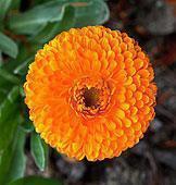 雪景发朋友圈配一句话 下雪感悟人生的句子