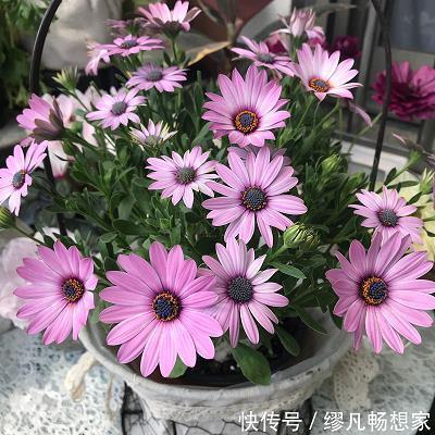 爱错一个人的心酸句子