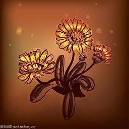 爱情里的心碎句子