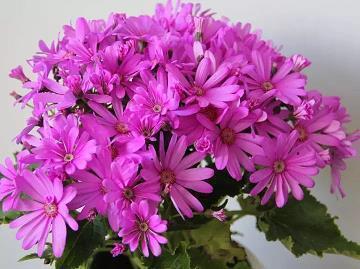 失恋的句子唯美短句精选大全(精选45句)