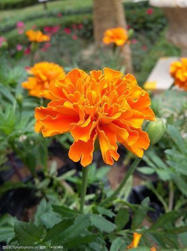 老婆对你失望的句子