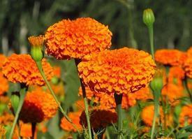 非主流句子 最经典非主流句子(精选57句)