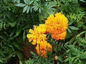 有些人不值得去在乎的句子(精选54句)