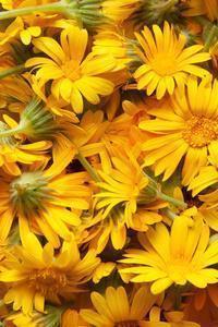 朋友圈发泄情绪的句子