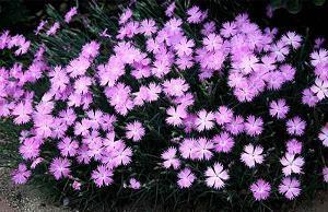 深夜悲伤难过的说说