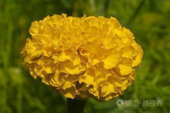 2021抗击疫情祝福语暖心的话 为武汉加油打气的句子30句