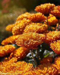 适合发朋友圈的心情说说优美句子大全