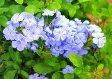 表达遇到了真爱的句子 遇见爱情的句子(精选65句)