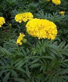 对老公失望的句子心寒的句子