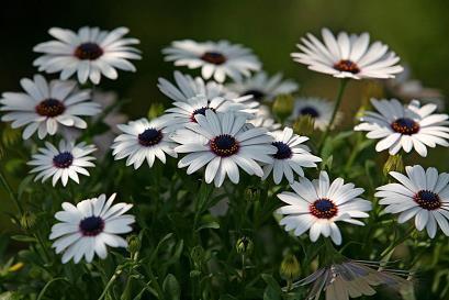 朋友圈心情不好感慨的句子84句