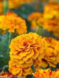 自己对自己很失望的句子