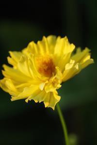 经典的一句话周末愉快句子