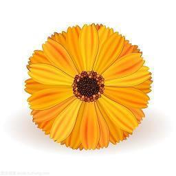 锥心刺骨看了想哭的文案 发朋友圈很丧的句子摘录26句