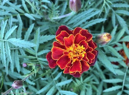 2021关于梦想奋斗的句子大全(精选45句)