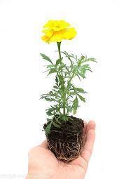 适合发朋友圈优雅平静的句子(精选45句)