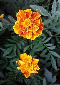 现实扎心语录 现实又很扎心的句子(精选52句)