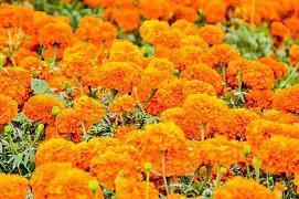 表达两个人互相珍惜的句子(精选35句)