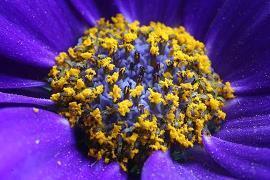 描写笑容的句子79句