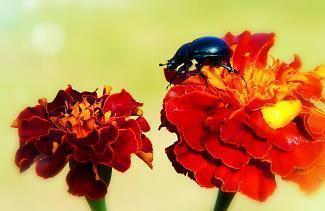 激励团队励志的句子