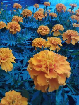 男人心碎绝望的伤感句子