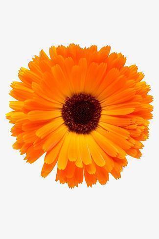 表达开开心心的句子