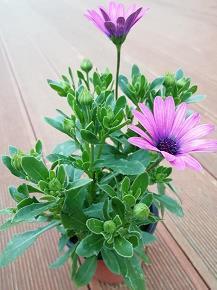 用有趣怎么造句子大全三年级