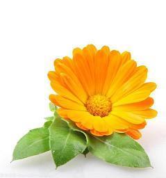 此时的我独自坐在窗前的伤感句子(精选26句)