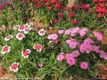 抖音吸引加粉点赞的文案 抖音吸引人点赞关注的句子摘抄28句