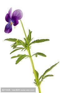 自己一个人心烦的句子