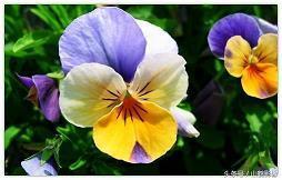 落日余晖的优美句子 夕阳西下的唯美句子(精选53句)