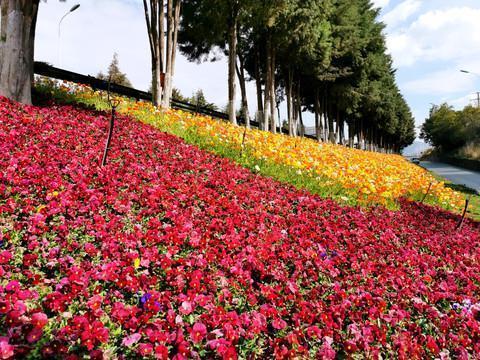 表达想家的句子 关于中秋节的想家句子43句