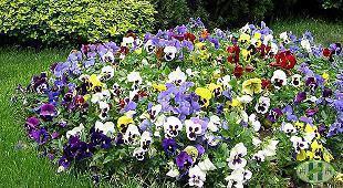 2021年八一建军节军人祝福句子文案精选(精选87句)