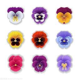 爱情的感人句子