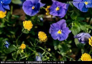 2021纪念九一八事变90周年心情文案说说(精选52句)