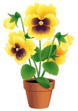 致自己结婚纪念日说说 结婚纪念日简单一句话