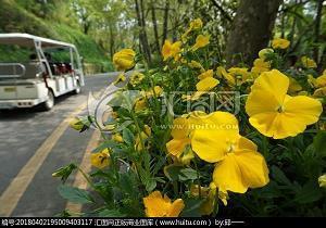 关于时尚潮流的句子83句