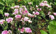 一座城市一段回忆说说汇总45句